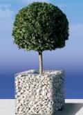 gabion planters and funinture